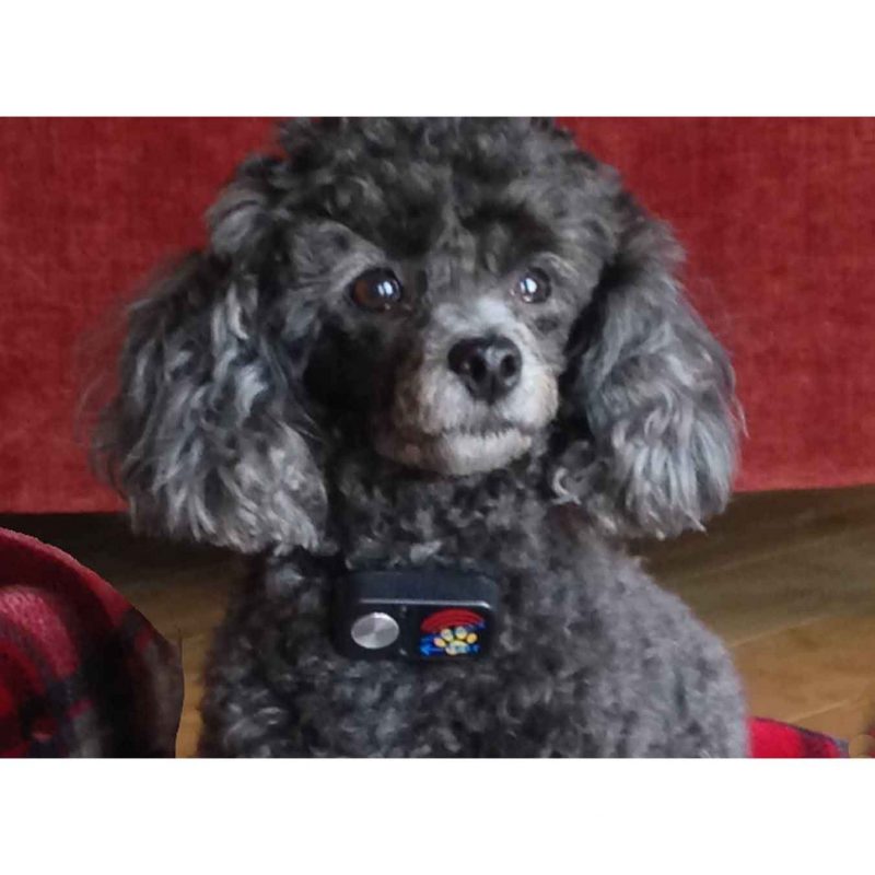 High Tech Pet Ultrasonic Water Resistant Power Pet Doors Replacement