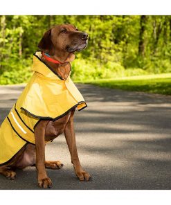Raincoat medium best sale size