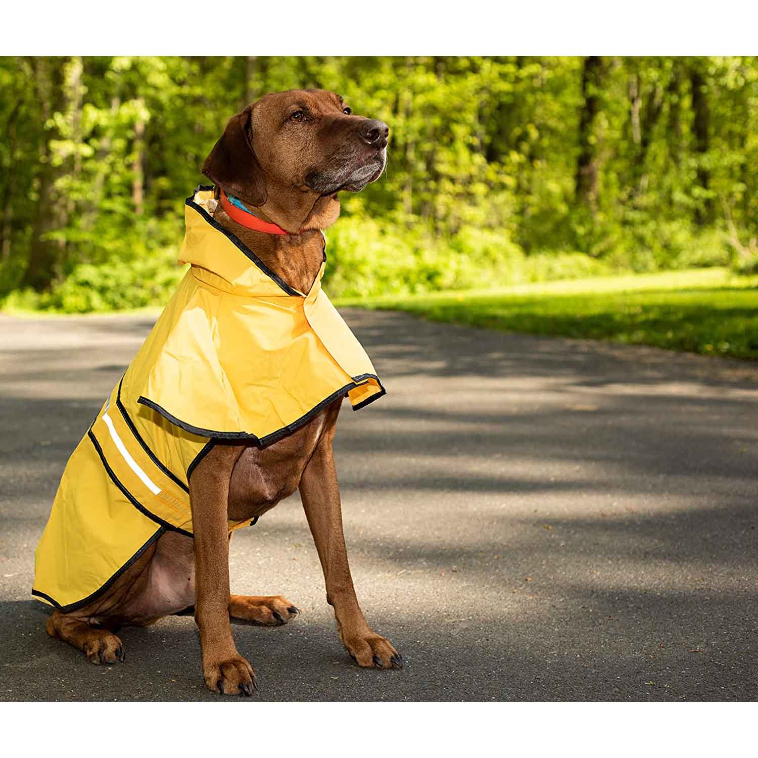 Ellie dog raincoat on sale